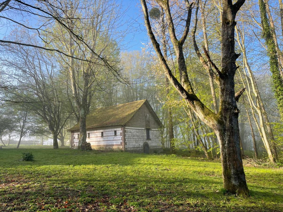 Bed and Breakfast Domaine De Fresnoy Loison-sur-Crequoise Экстерьер фото